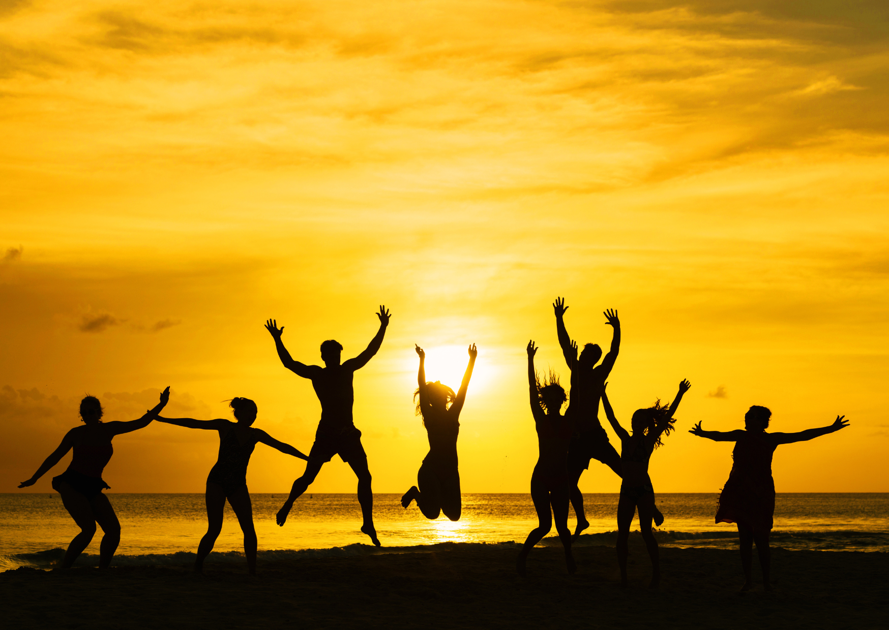 Lees meer over het artikel ➔ <center><b>Bruxelles</b><br />Estivales de la Biodanza 2025<br />Aime Vis Danse</center>